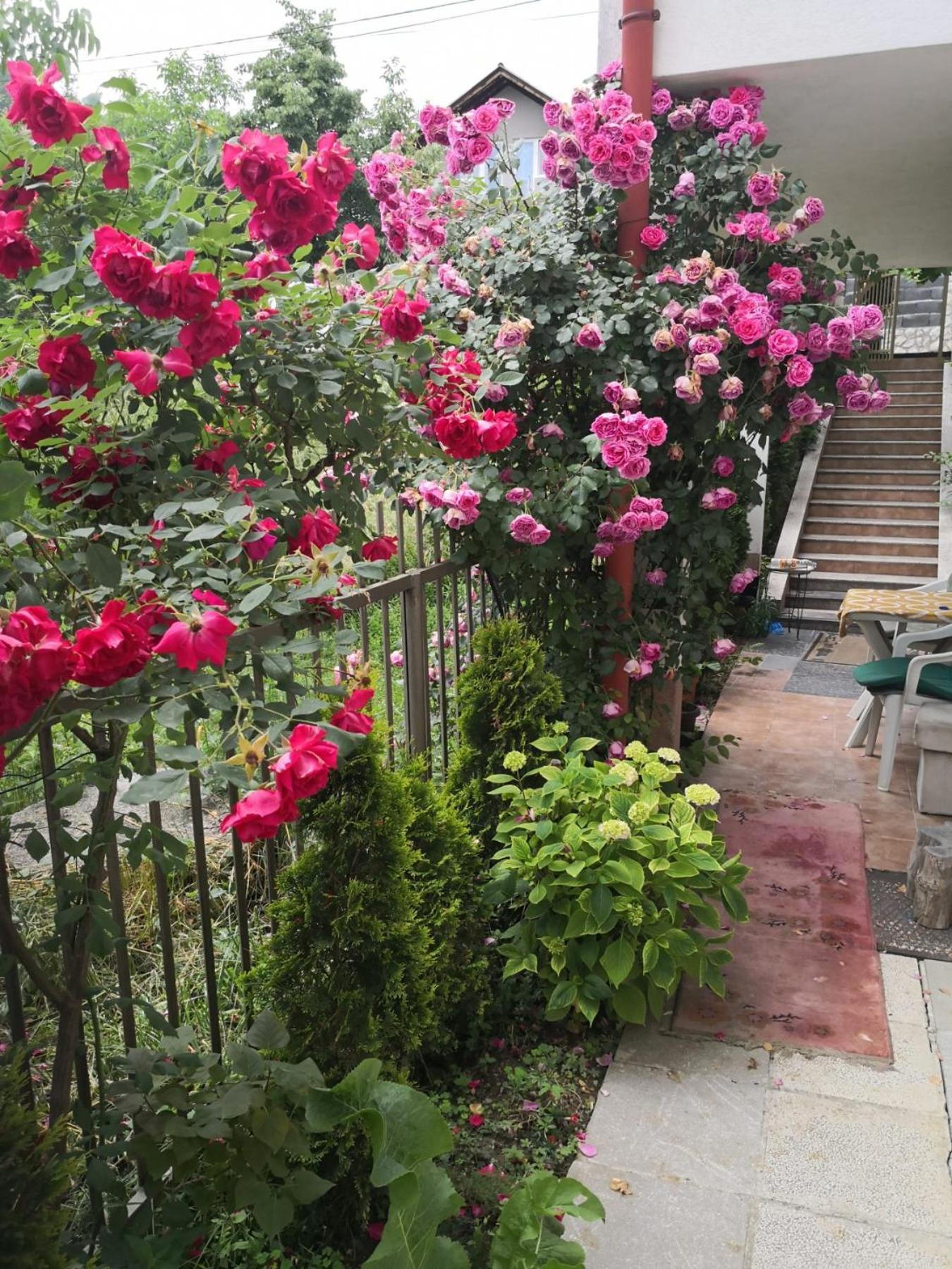 Rest & Recharge 4Bdr Apt- Free Parking, Ac & Garden Saraievo Exterior foto